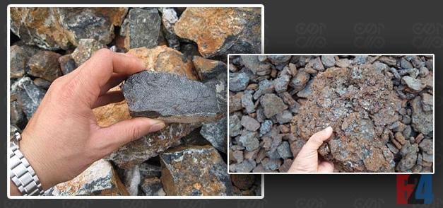 خرید فوری خرسک و شلاکه